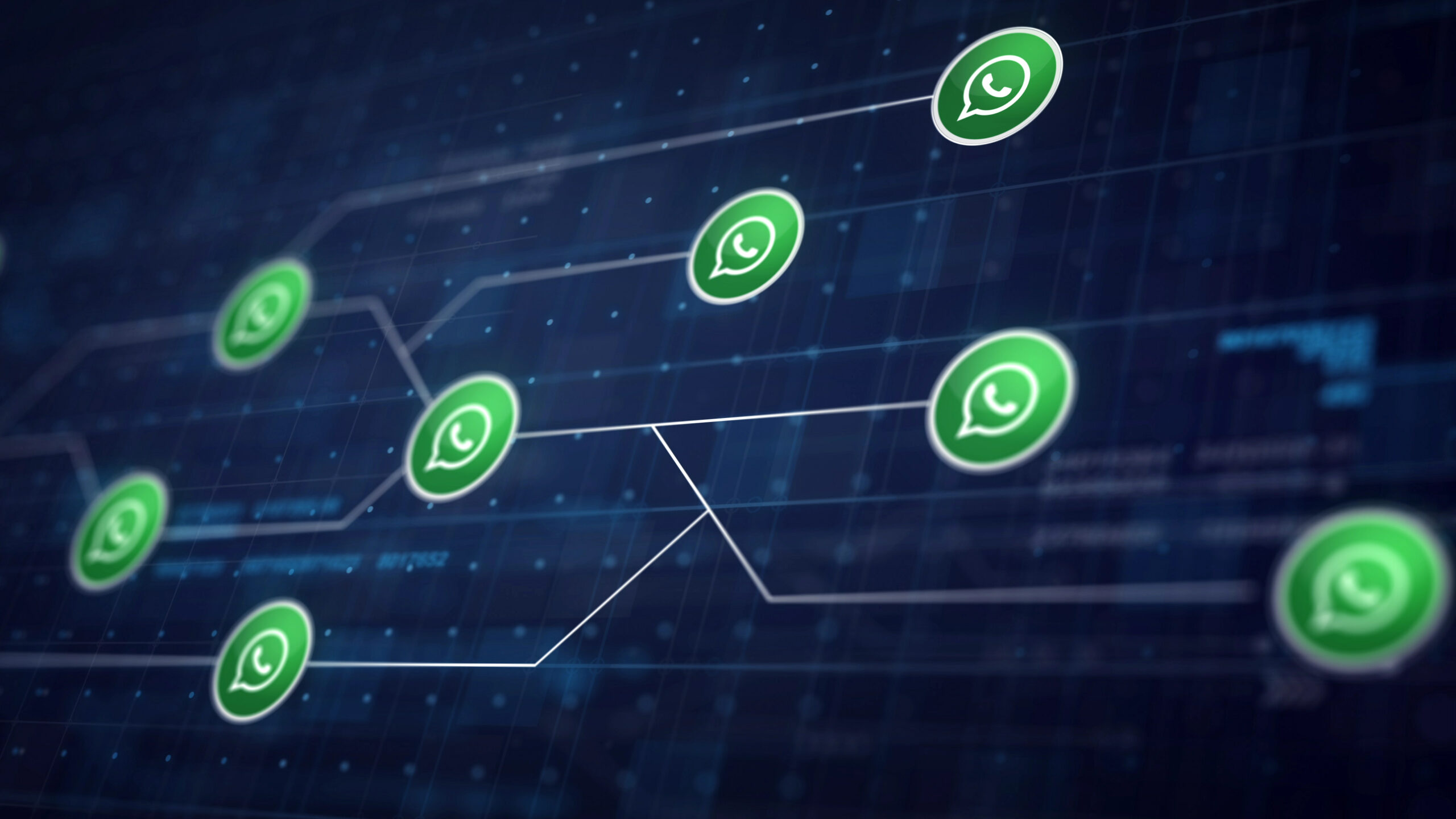WhatsApp marketing services